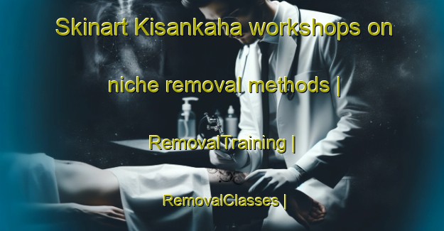 Skinart Kisankaha workshops on niche removal methods | RemovalTraining | RemovalClasses | SkinartTraining-Côte d Ivoire